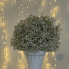 Location Boule de Fleurs Gypsophile 60cm