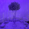 Location Boule de Fleurs Gypsophile 60cm
