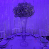 Location Centre de Table : Vase Transparent + Gypsophile 60cm