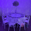 Location Centre de Table : Vase Transparent + Gypsophile 60cm