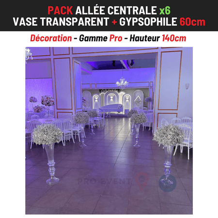 Location Allée Centrale : Vase Transparent 80cm + Gypsophile 60cm x6