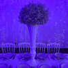 Location Centre de Table : Vase Blanc + Gypsophile 60cm