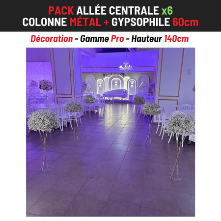 Location Allée Centrale : Colone métal + Gypsophile 60cm x6