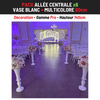 Location Allée Centrale : Vase blanc 80cm + Multicolore 60cm x6