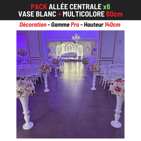Location Allée Centrale : Vase blanc 80cm + Multicolore 60cm x6
