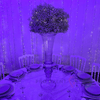 Location de Vase Transparent 80cm